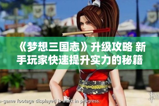 《梦想三国志》升级攻略 新手玩家快速提升实力的秘籍分享