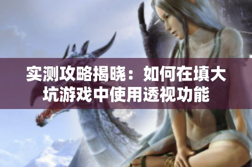 实测攻略揭晓：如何在填大坑游戏中使用透视功能