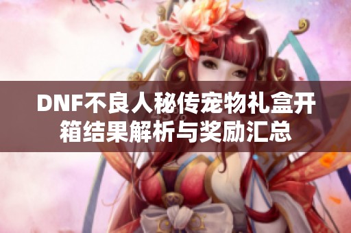DNF不良人秘传宠物礼盒开箱结果解析与奖励汇总