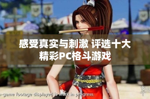 感受真实与刺激 评选十大精彩PC格斗游戏