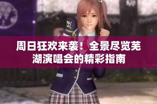 周日狂欢来袭！全景尽览芜湖演唱会的精彩指南