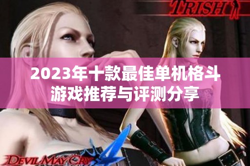 2023年十款最佳单机格斗游戏推荐与评测分享