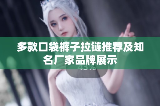 多款口袋裤子拉链推荐及知名厂家品牌展示