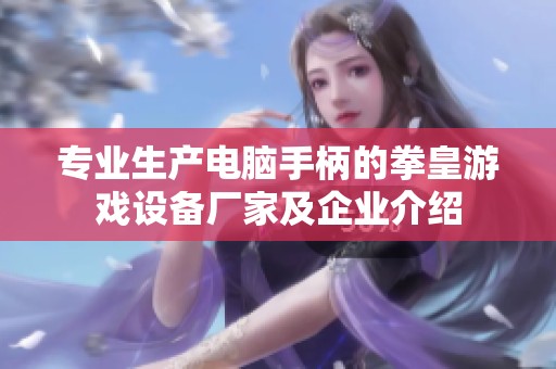 专业生产电脑手柄的拳皇游戏设备厂家及企业介绍