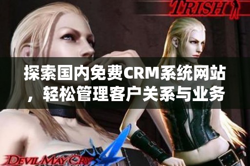 探索国内免费CRM系统网站，轻松管理客户关系与业务发展