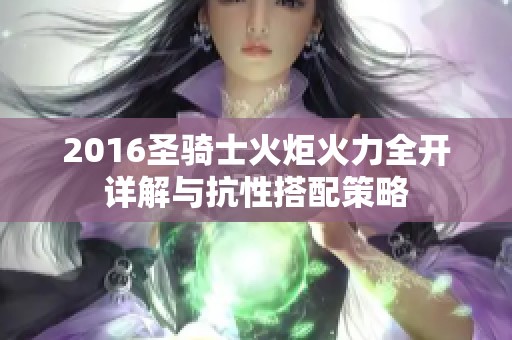 2016圣骑士火炬火力全开详解与抗性搭配策略