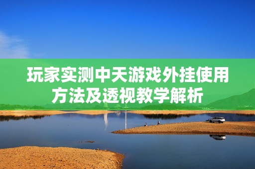 玩家实测中天游戏外挂使用方法及透视教学解析