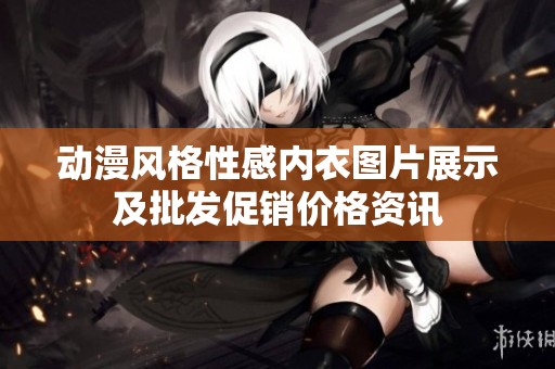 动漫风格性感内衣图片展示及批发促销价格资讯