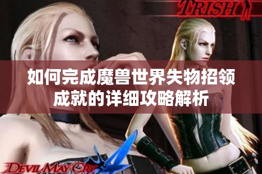 如何完成魔兽世界失物招领成就的详细攻略解析