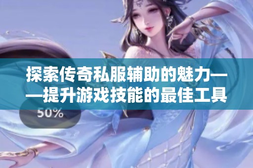 探索传奇私服辅助的魅力——提升游戏技能的最佳工具