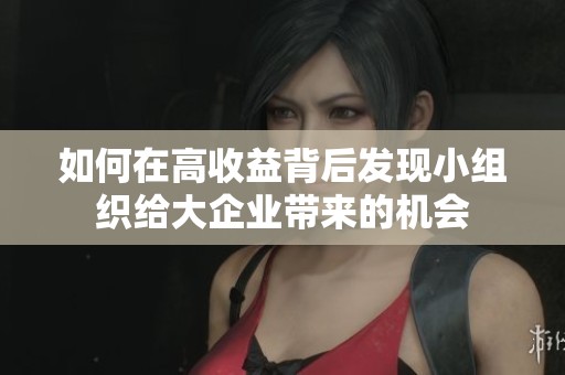 如何在高收益背后发现小组织给大企业带来的机会