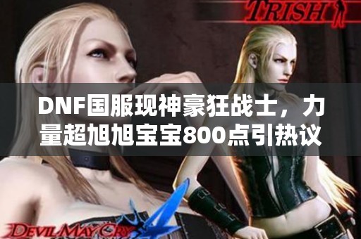 DNF国服现神豪狂战士，力量超旭旭宝宝800点引热议