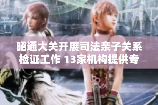 昭通大关开展司法亲子关系检证工作 13家机构提供专业服务