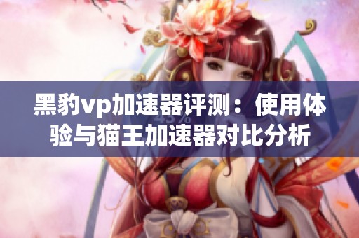 黑豹vp加速器评测：使用体验与猫王加速器对比分析