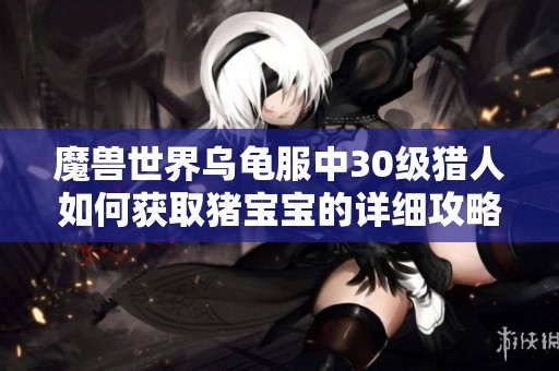 魔兽世界乌龟服中30级猎人如何获取猪宝宝的详细攻略