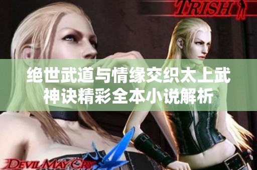 绝世武道与情缘交织太上武神诀精彩全本小说解析