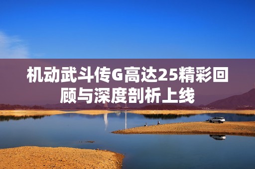 机动武斗传G高达25精彩回顾与深度剖析上线