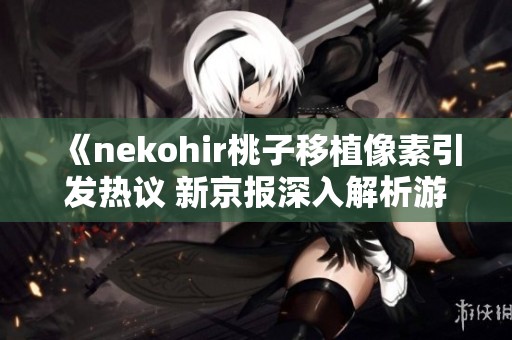 《nekohir桃子移植像素引发热议 新京报深入解析游戏动态》