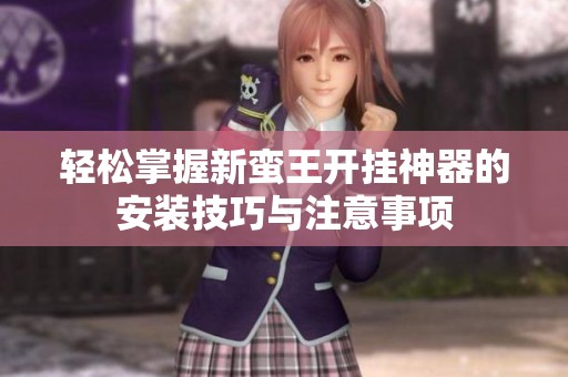 轻松掌握新蛮王开挂神器的安装技巧与注意事项