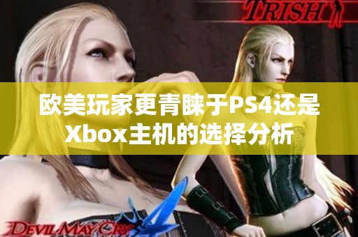 欧美玩家更青睐于PS4还是Xbox主机的选择分析