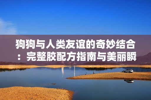 狗狗与人类友谊的奇妙结合：完整胶配方指南与美丽瞬间