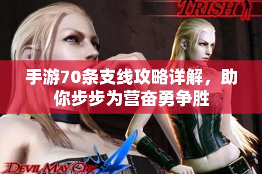 手游70条支线攻略详解，助你步步为营奋勇争胜