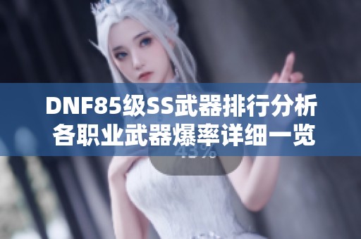 DNF85级SS武器排行分析 各职业武器爆率详细一览