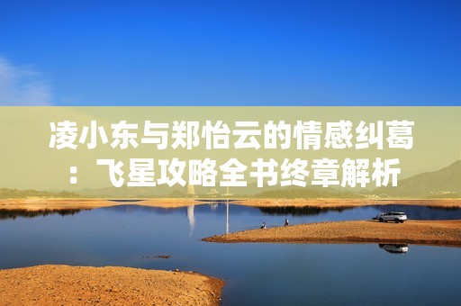 凌小东与郑怡云的情感纠葛：飞星攻略全书终章解析