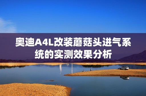 奥迪A4L改装蘑菇头进气系统的实测效果分析