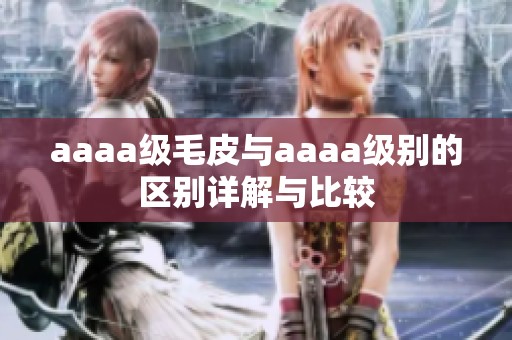 aaaa级毛皮与aaaa级别的区别详解与比较
