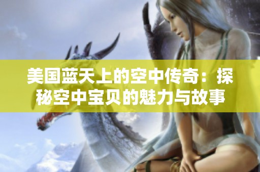 美国蓝天上的空中传奇：探秘空中宝贝的魅力与故事
